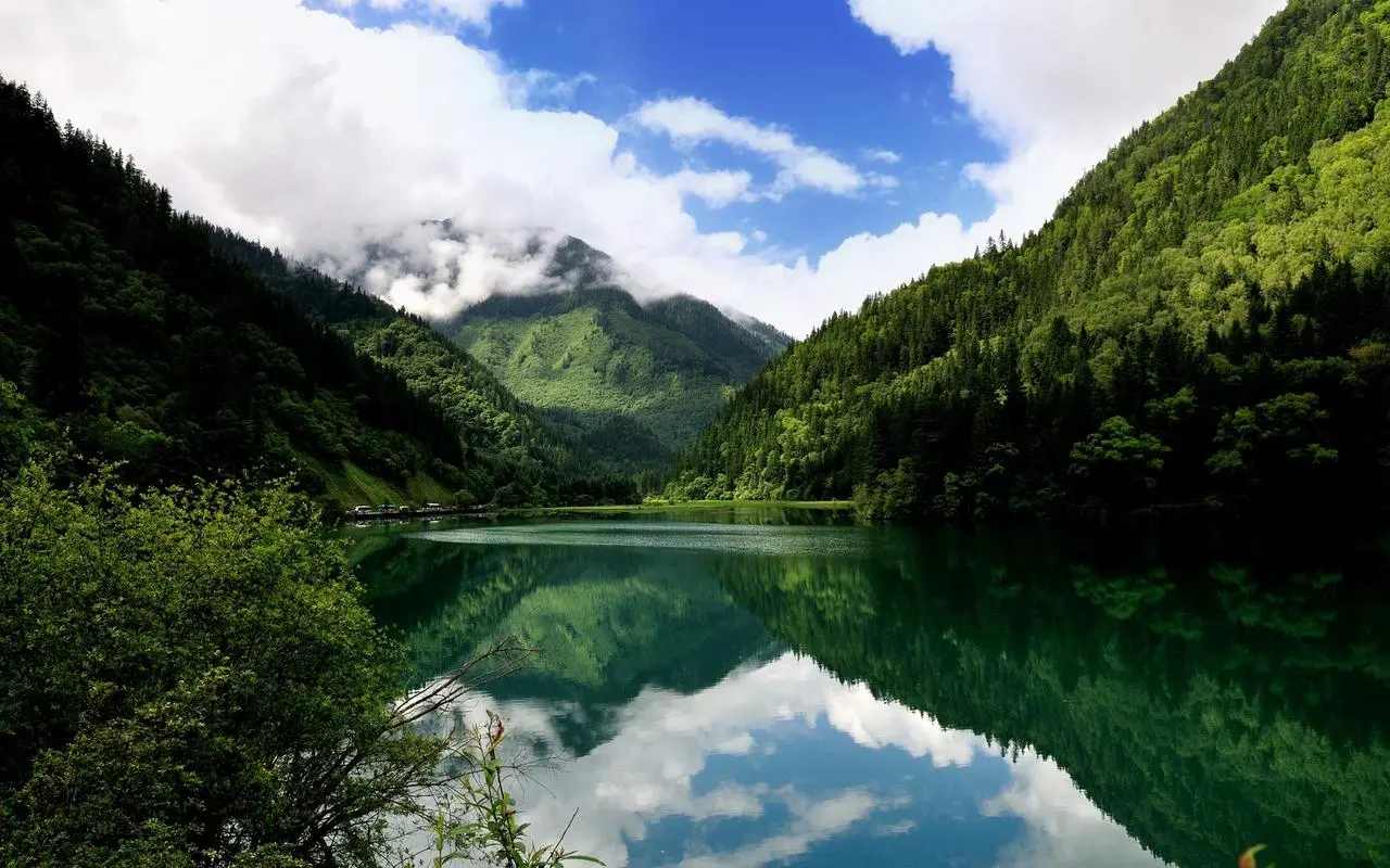 高端高效